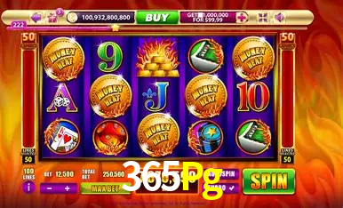 cassino 365Pg